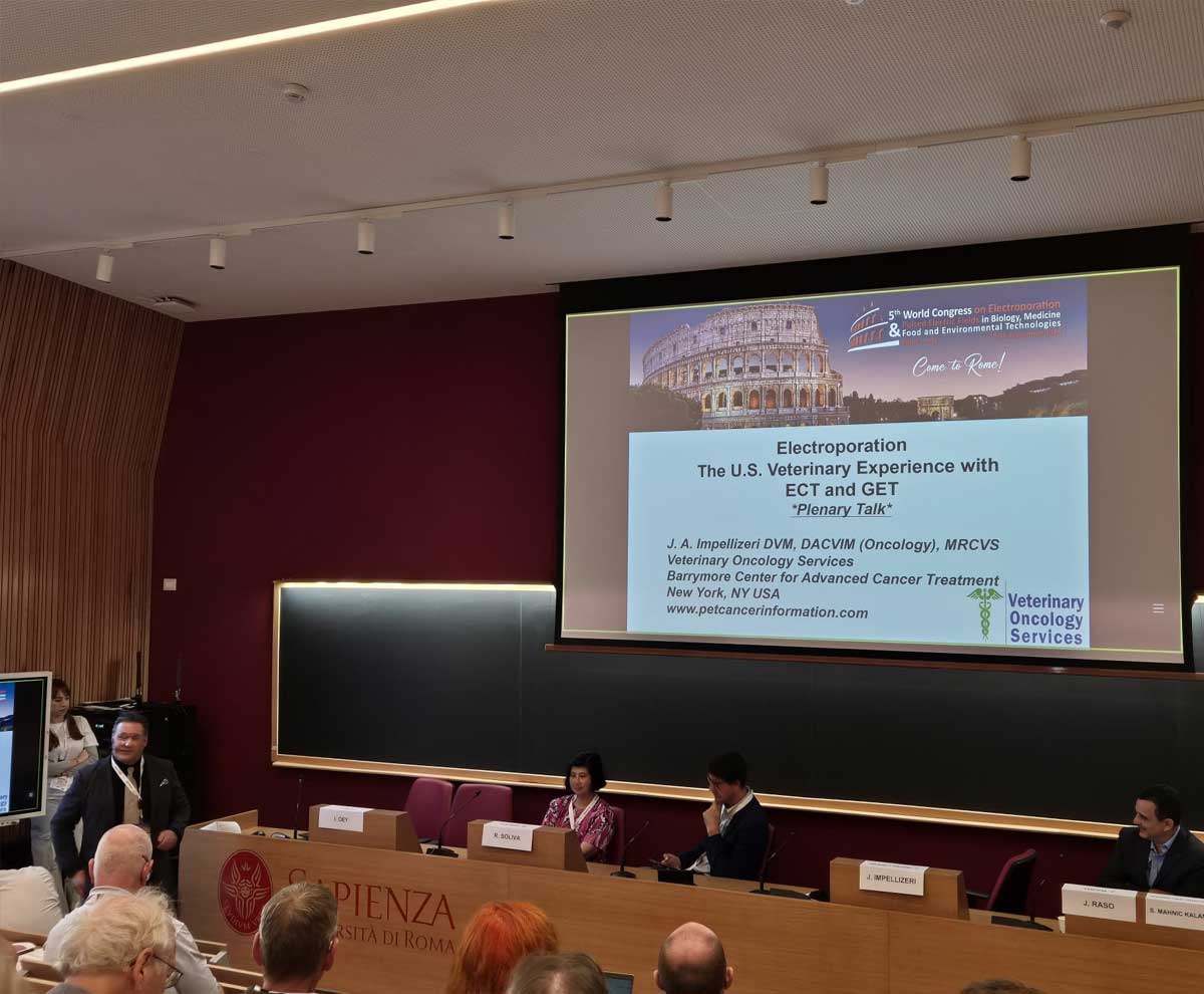 Veterinary Oncology Services VOS Impellizeri Aurisicchio A