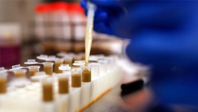 Fecal transplants help patients